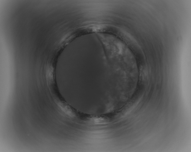 X0000111440650200907201129