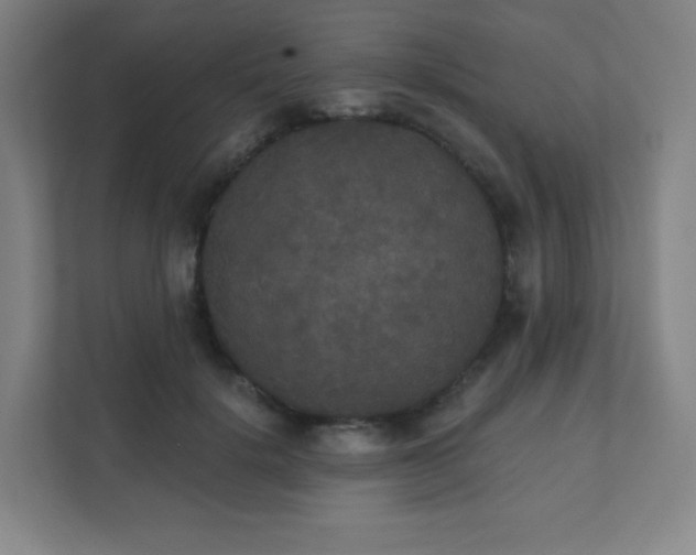 X0000111440652200907201130