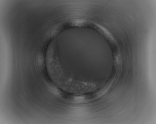 X0000111440653200907201130