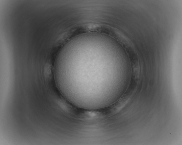 X0000111440654200907201130