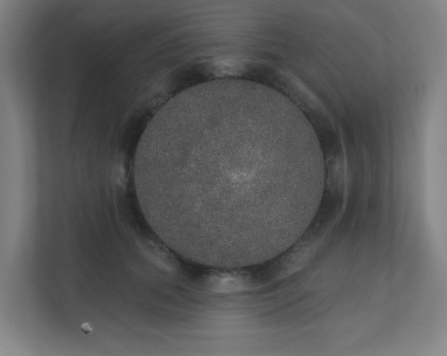 X0000111440655200907201130