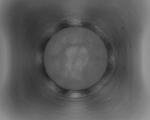 X0000111440658200907201130