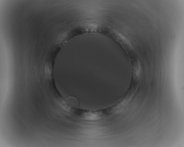 X0000111440661200907201130