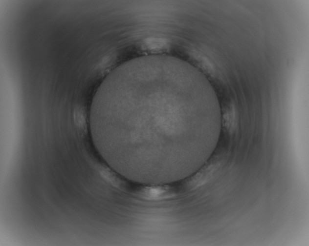 X0000111440662200907201130