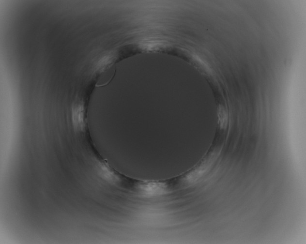 X0000111440670200907201130