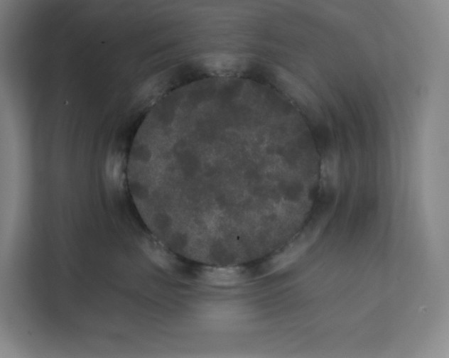 X0000111440671200907201130