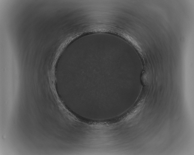 X0000111440673200907201129