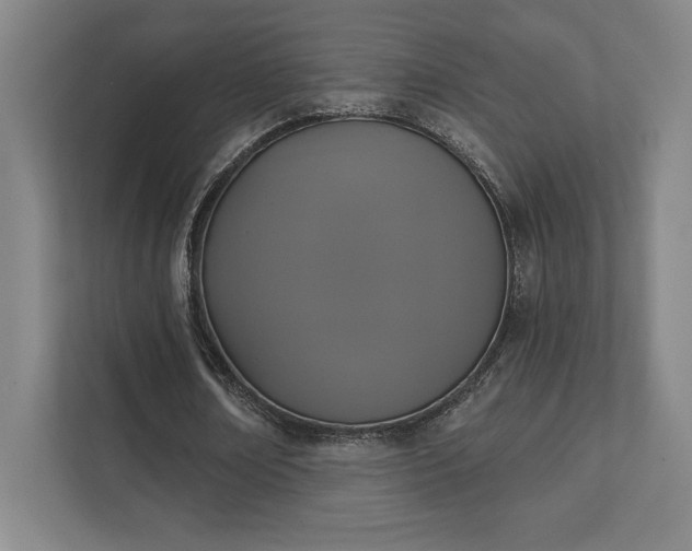 X0000111440674200907201129