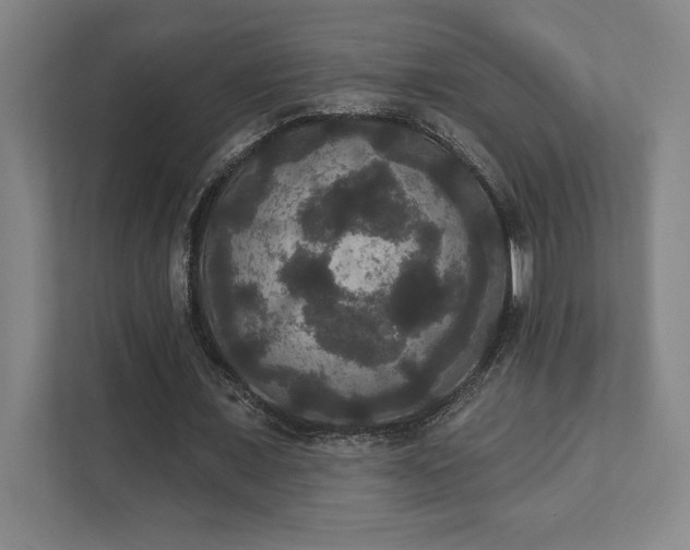 X0000111440675200907201129