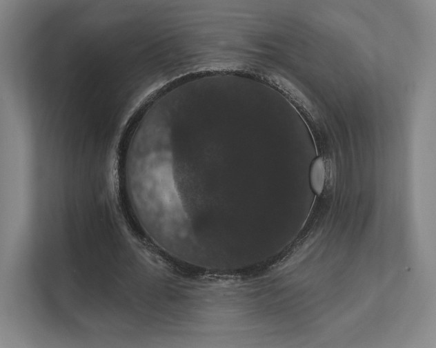 X0000111440676200907201129