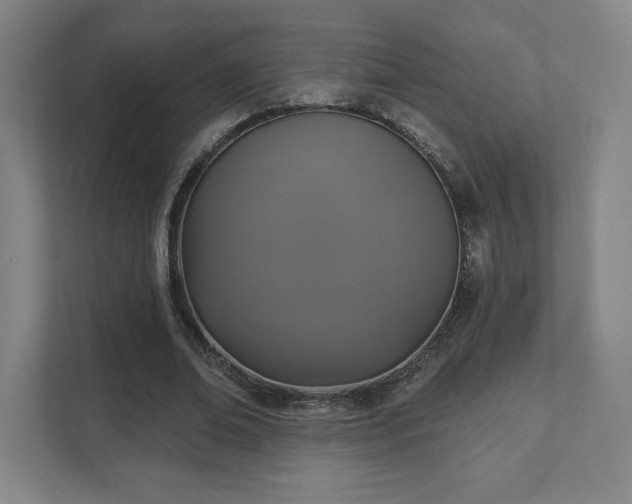 X0000111440678200907201129