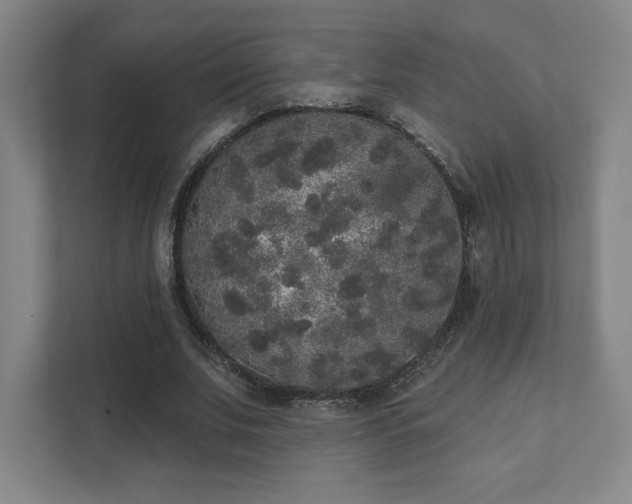 X0000111440679200907201129