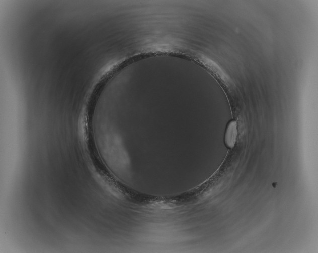 X0000111440680200907201129