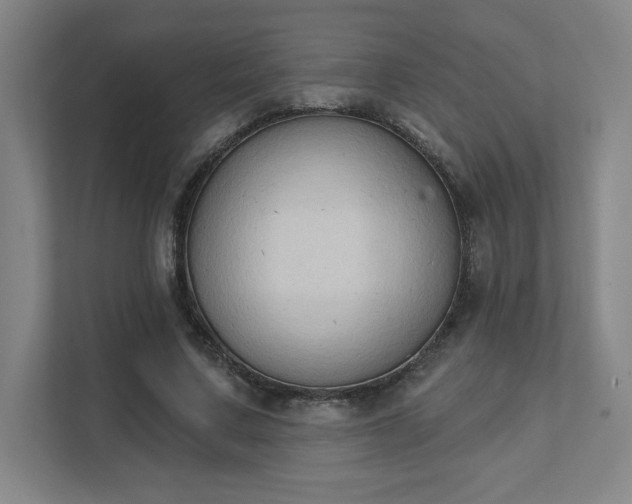 X0000111440683200907201129