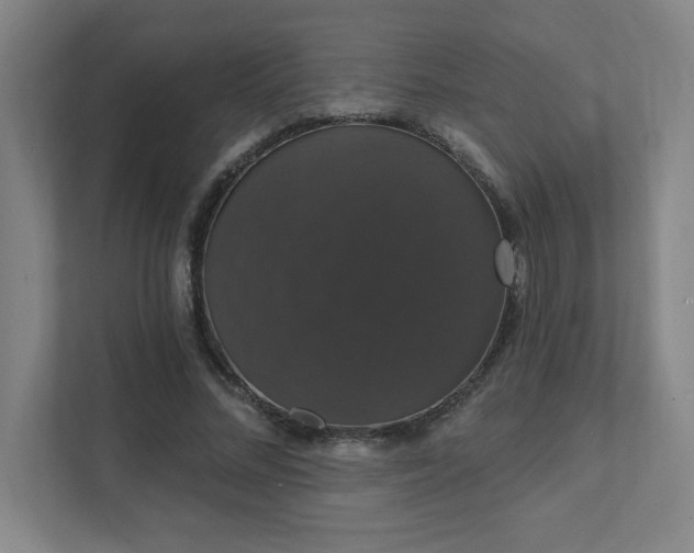 X0000111440684200907201129