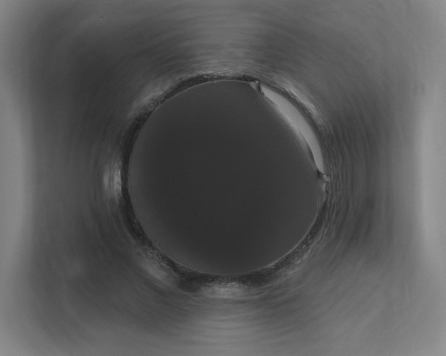 X0000111440685200907201129