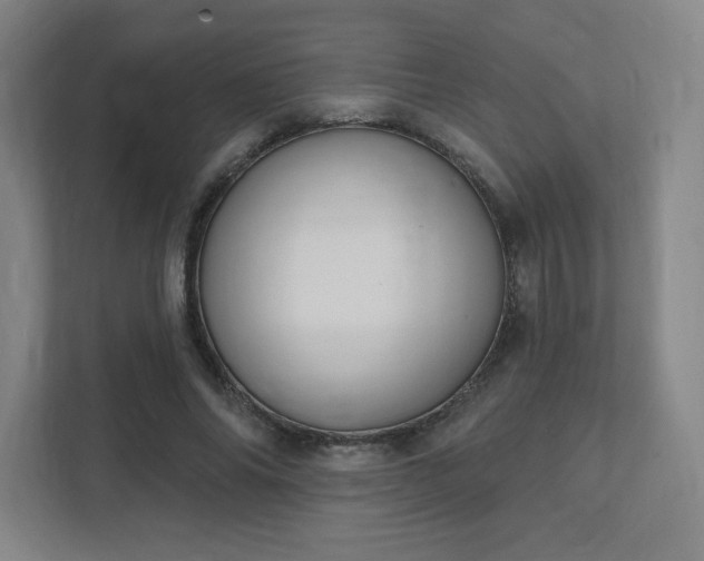 X0000111440686200907201129