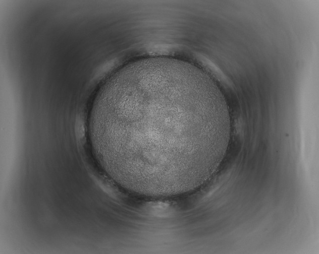 X0000111440687200907201129