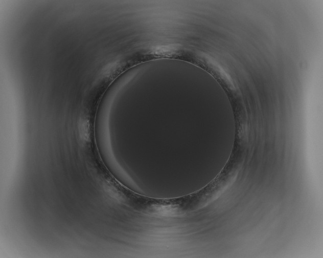 X0000111440689200907201129