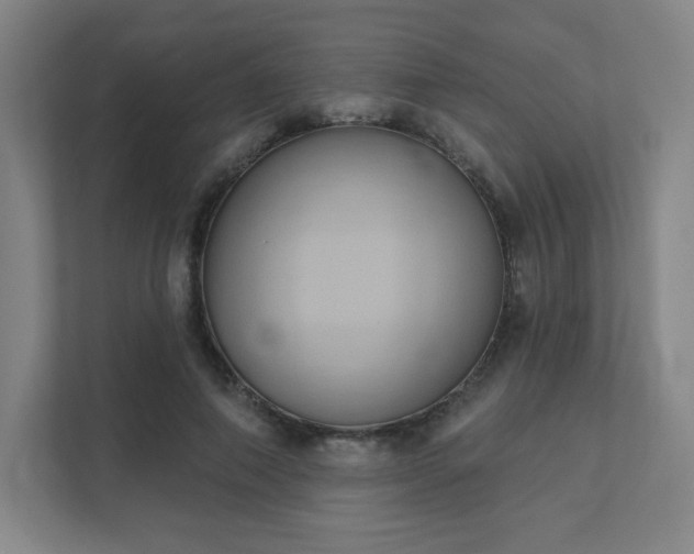 X0000111440690200907201129