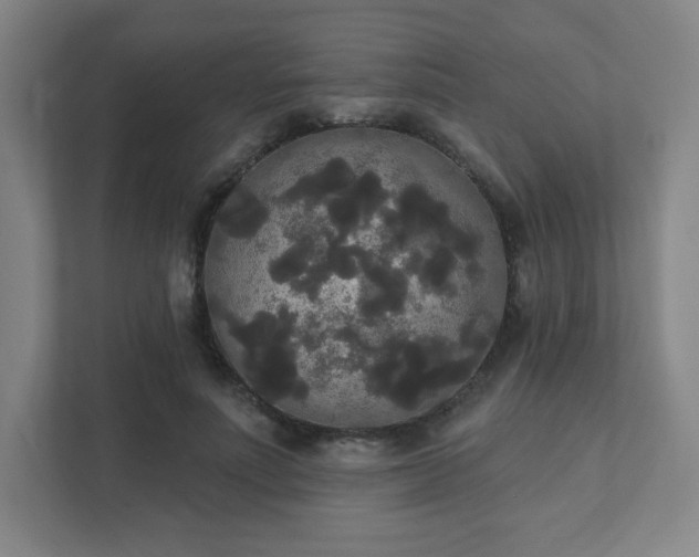 X0000111440691200907201129