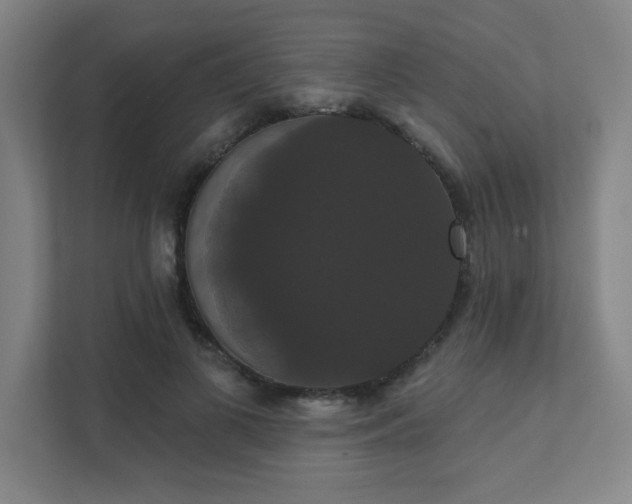 X0000111440693200907201129