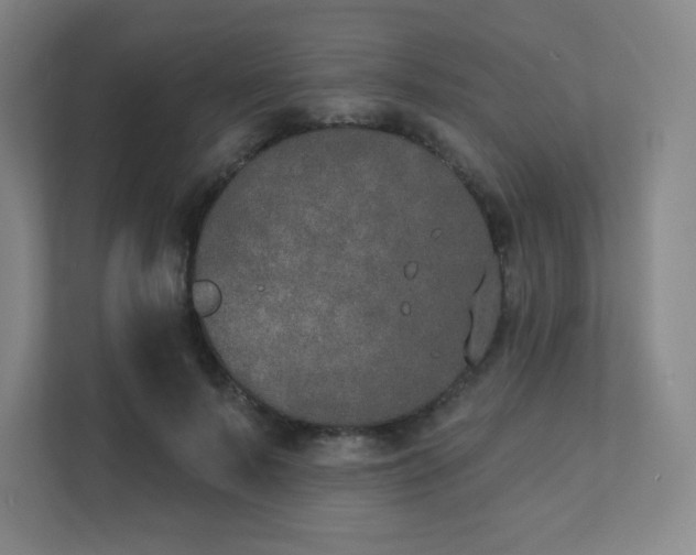 X0000111440695200907201129