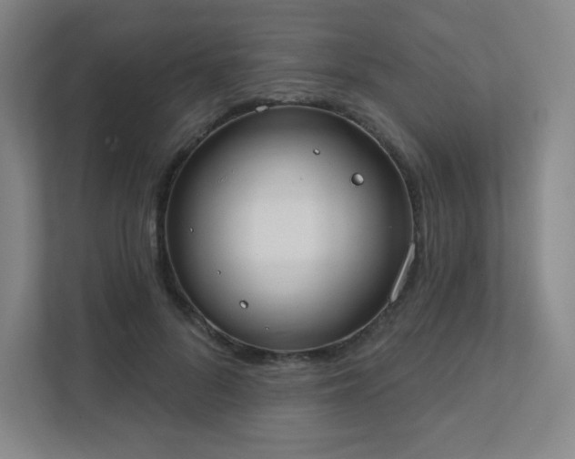 X0000111440696200907201129