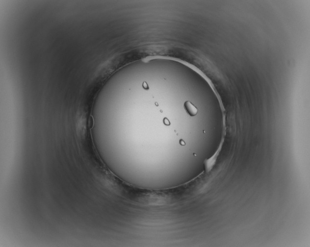 X0000111440697200907201129