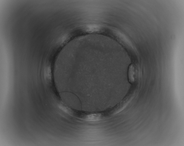 X0000111440700200907201129