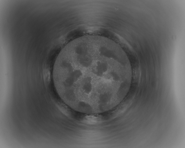 X0000111440703200907201129