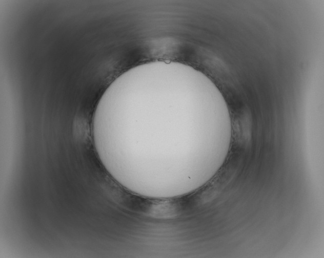 X0000111440705200907201129