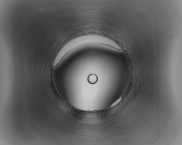 X0000111440709200907201129