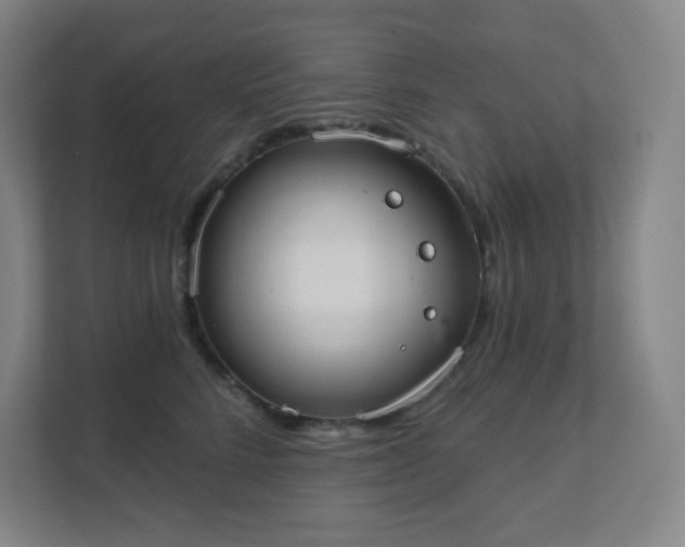 X0000111440712200907201129