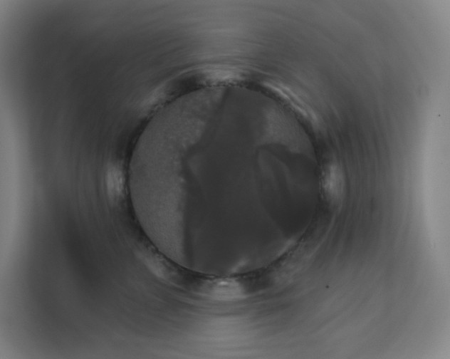 X0000111440715200907201129