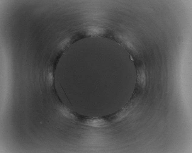 X0000111440716200907201129