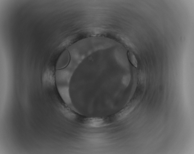 X0000111440719200907201129