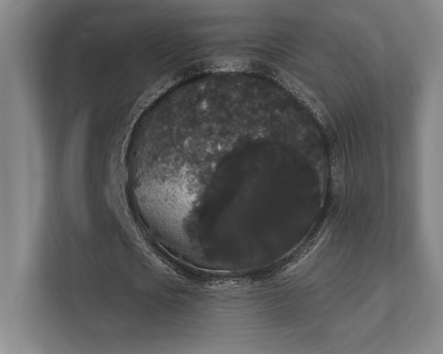 X0000111440721200907201128