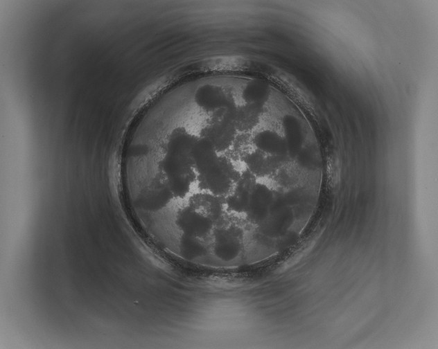 X0000111440725200907201128