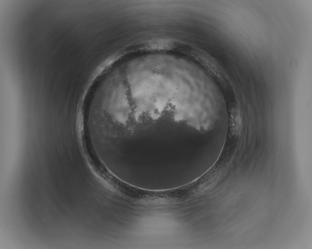 X0000111440726200907201128