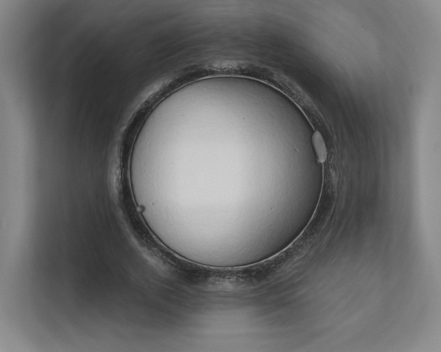 X0000111440728200907201128