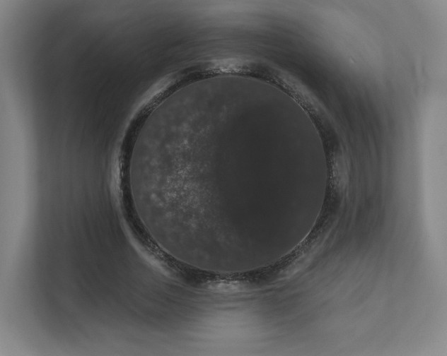 X0000111440730200907201128