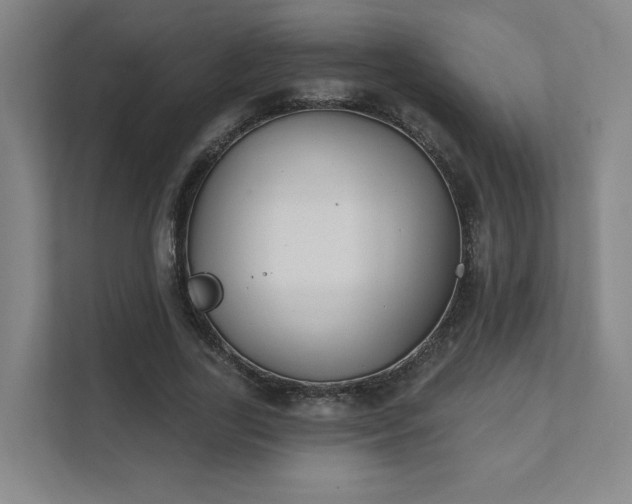 X0000111440731200907201128