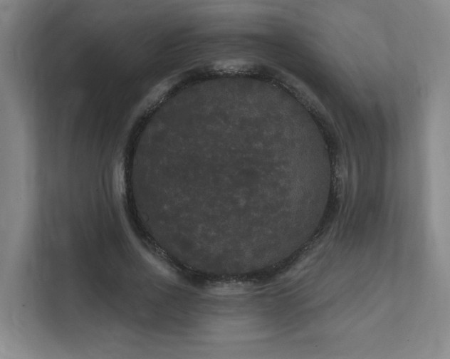 X0000111440734200907201128