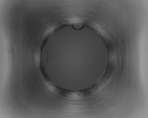 X0000111440736200907201128