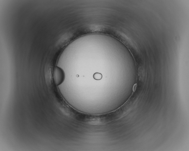 X0000111440740200907201128