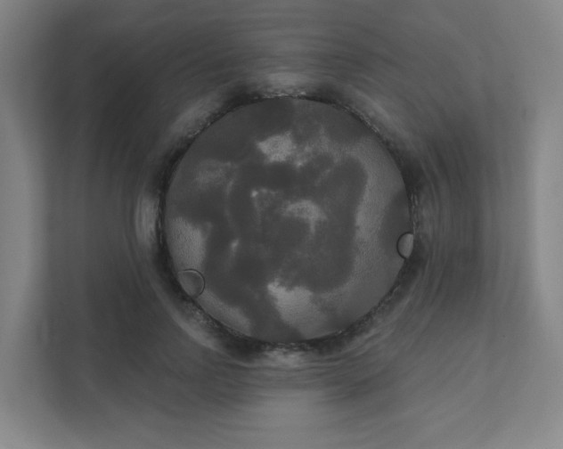 X0000111440742200907201128