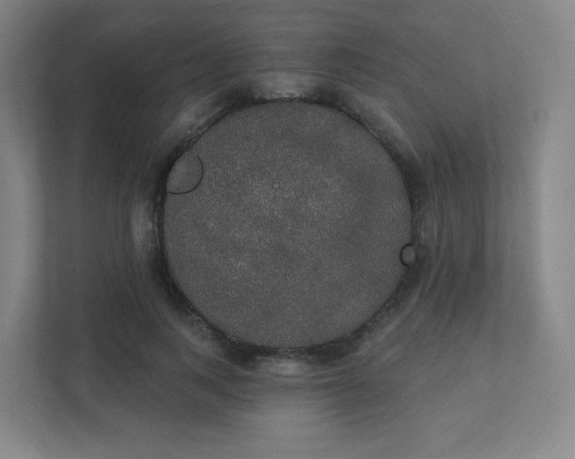 X0000111440743200907201128