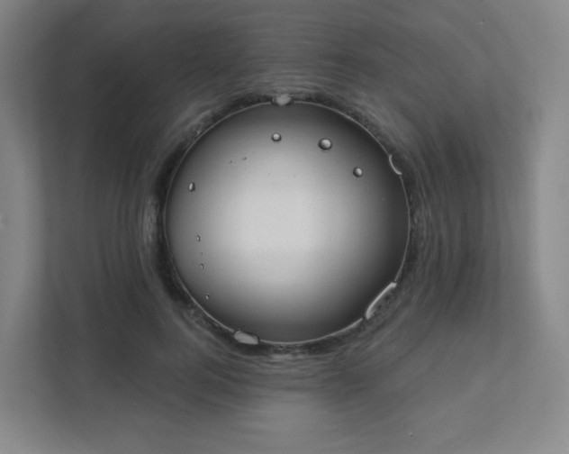 X0000111440744200907201128