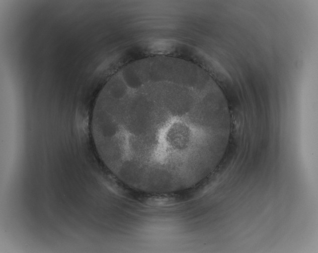 X0000111440745200907201128